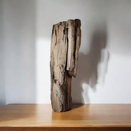 Verkieseltes Holz Feenholz