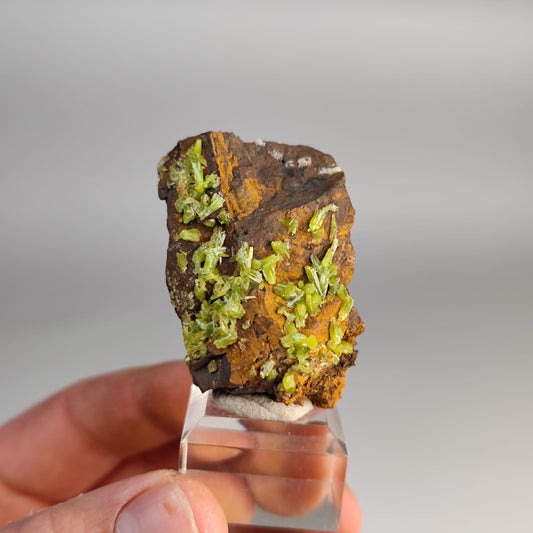 Pyromorphit Grube Dörrberg Rambeck Sauerland