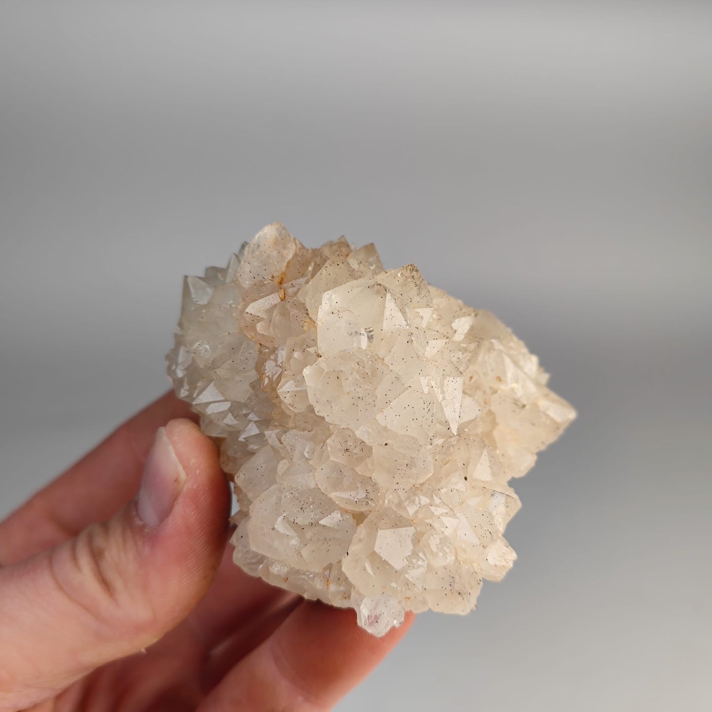 Mineralien aus dem Steinbruch Winterberg Bad Grund Harz