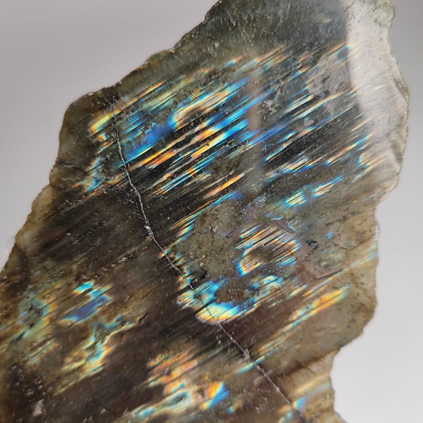 Labradortit Scheibe Anschliff