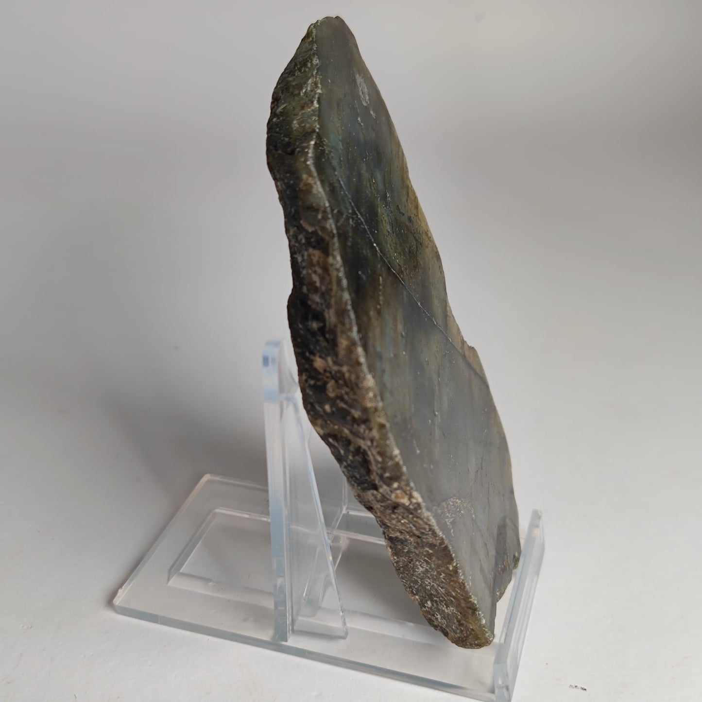 Labradortit Scheibe Anschliff