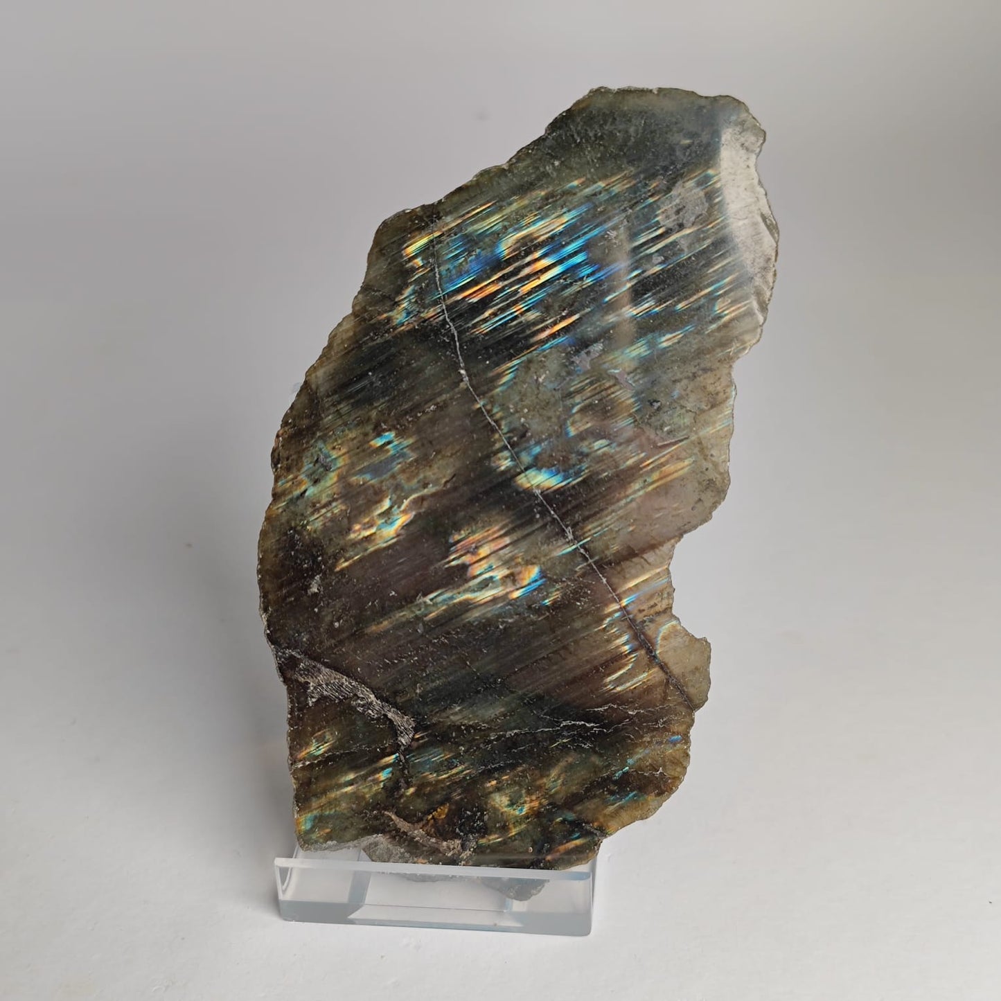 Labradortit Scheibe Anschliff