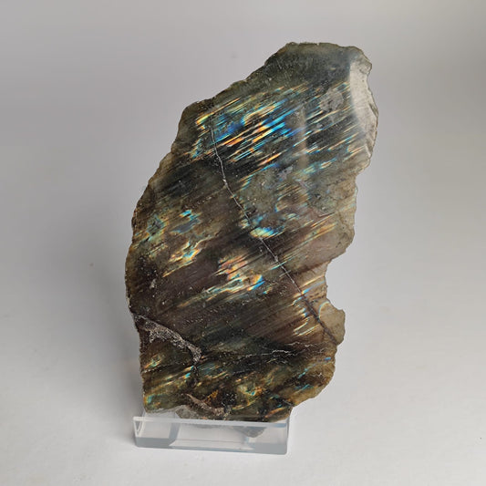 Labradortit Scheibe Anschliff