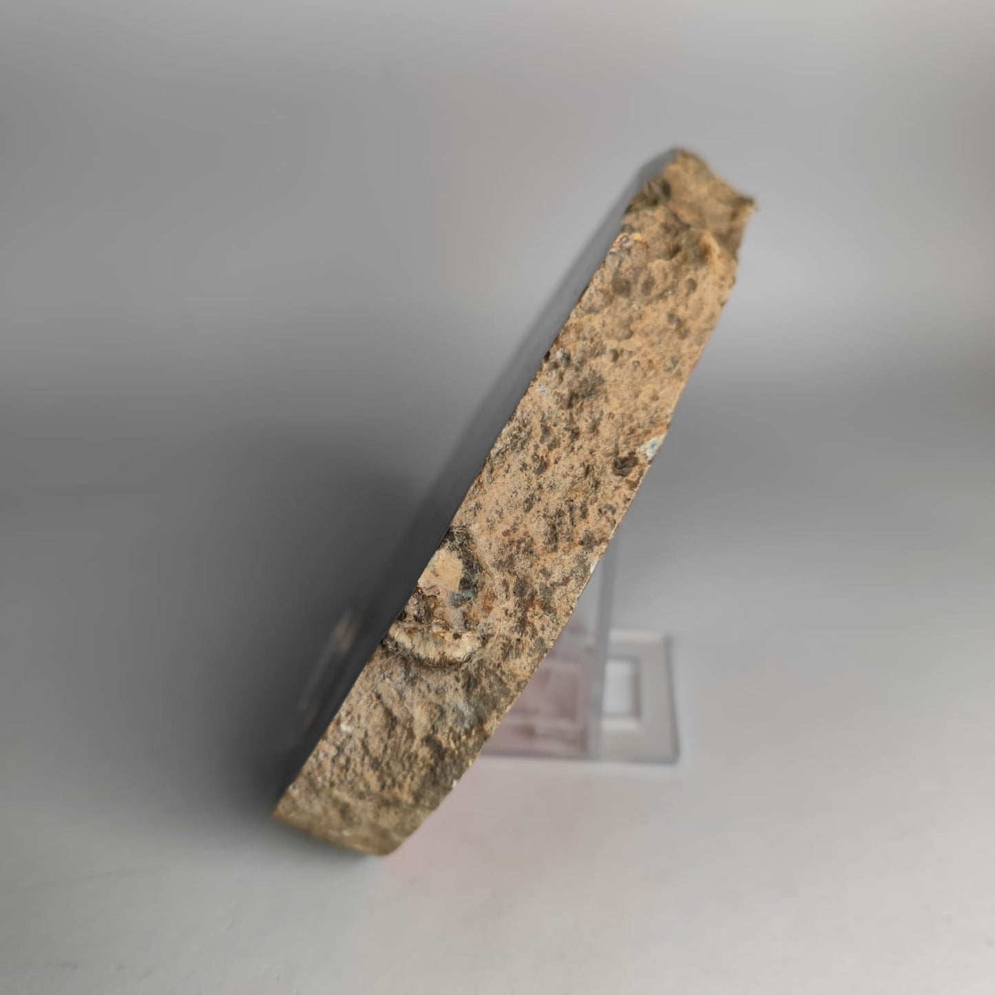 Achat Scheibe Brasilien