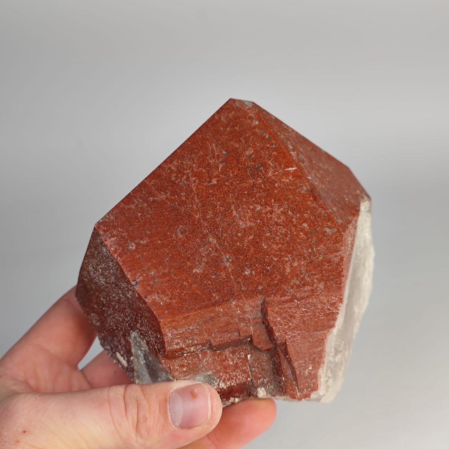 Hämatit phantom Quarz Spitze Anschliff