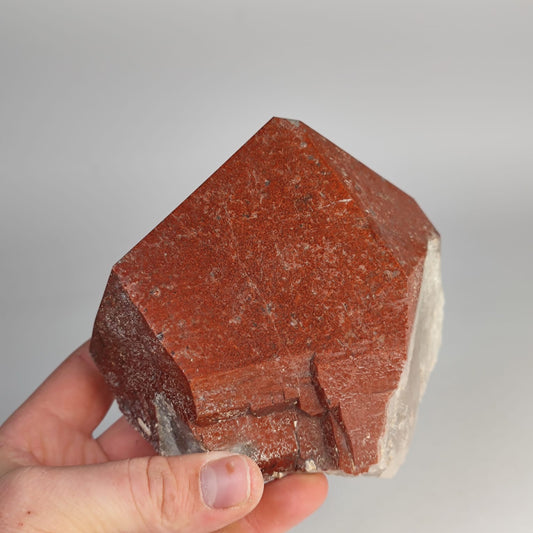 Hämatit phantom Quarz Spitze Anschliff