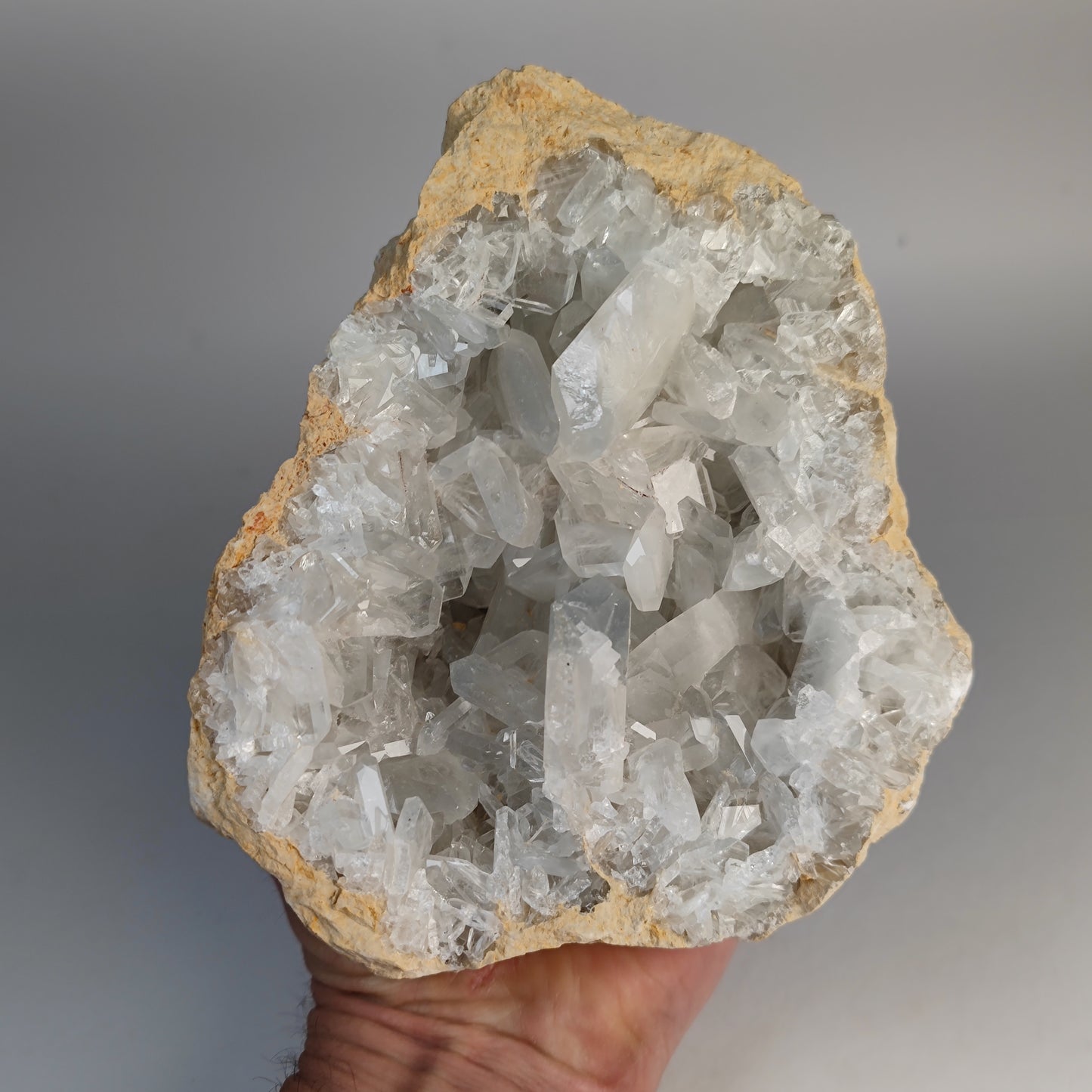 XL Coelestin Drusen Tunesien Einzelstück