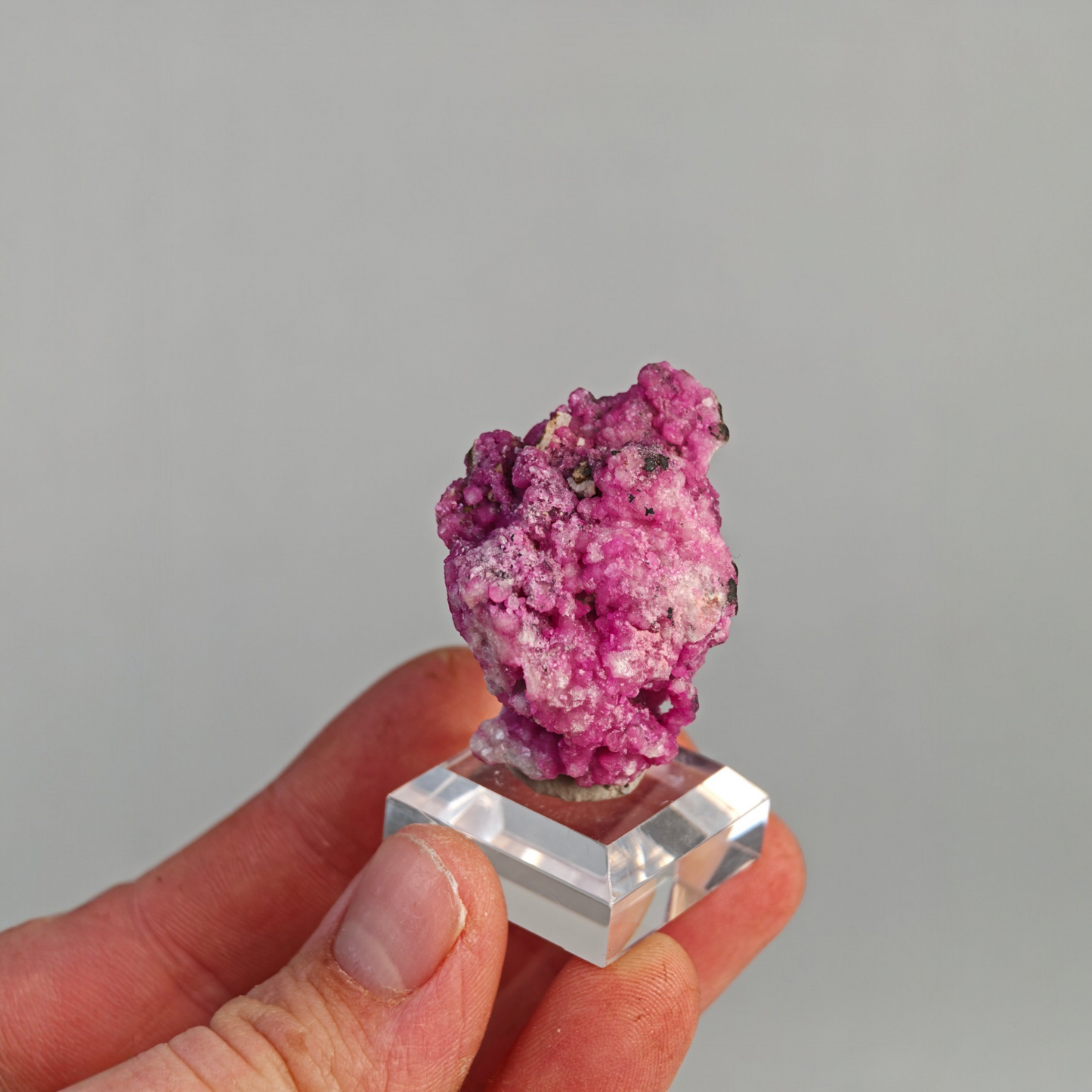 Kobaltcalcit Republik Kongo Afrika