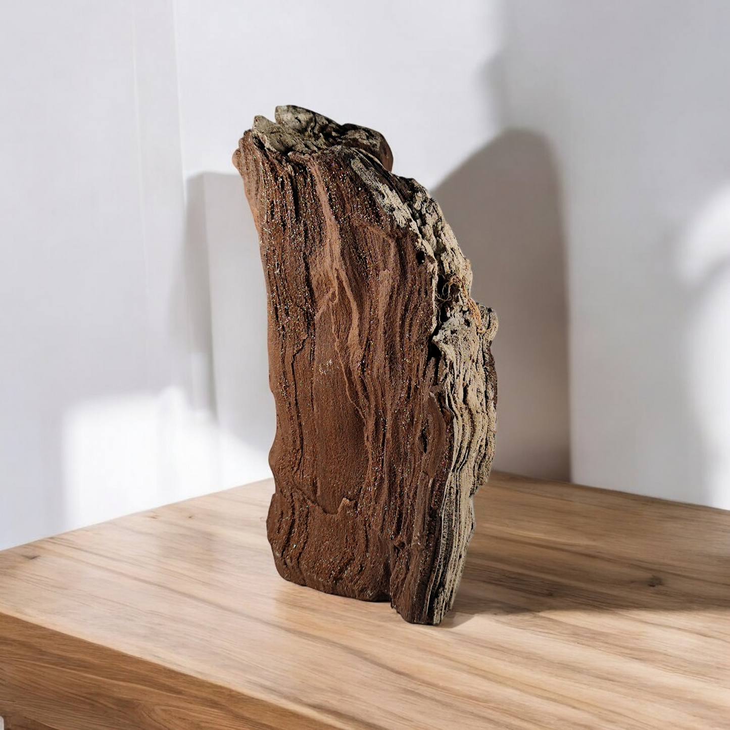 Verkieseltes Holz Feenholz