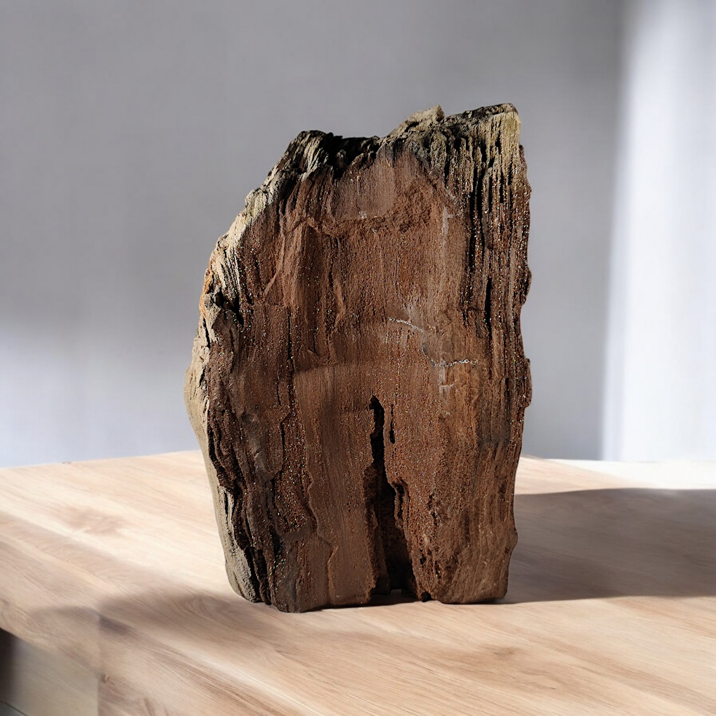 Verkieseltes Holz Feenholz