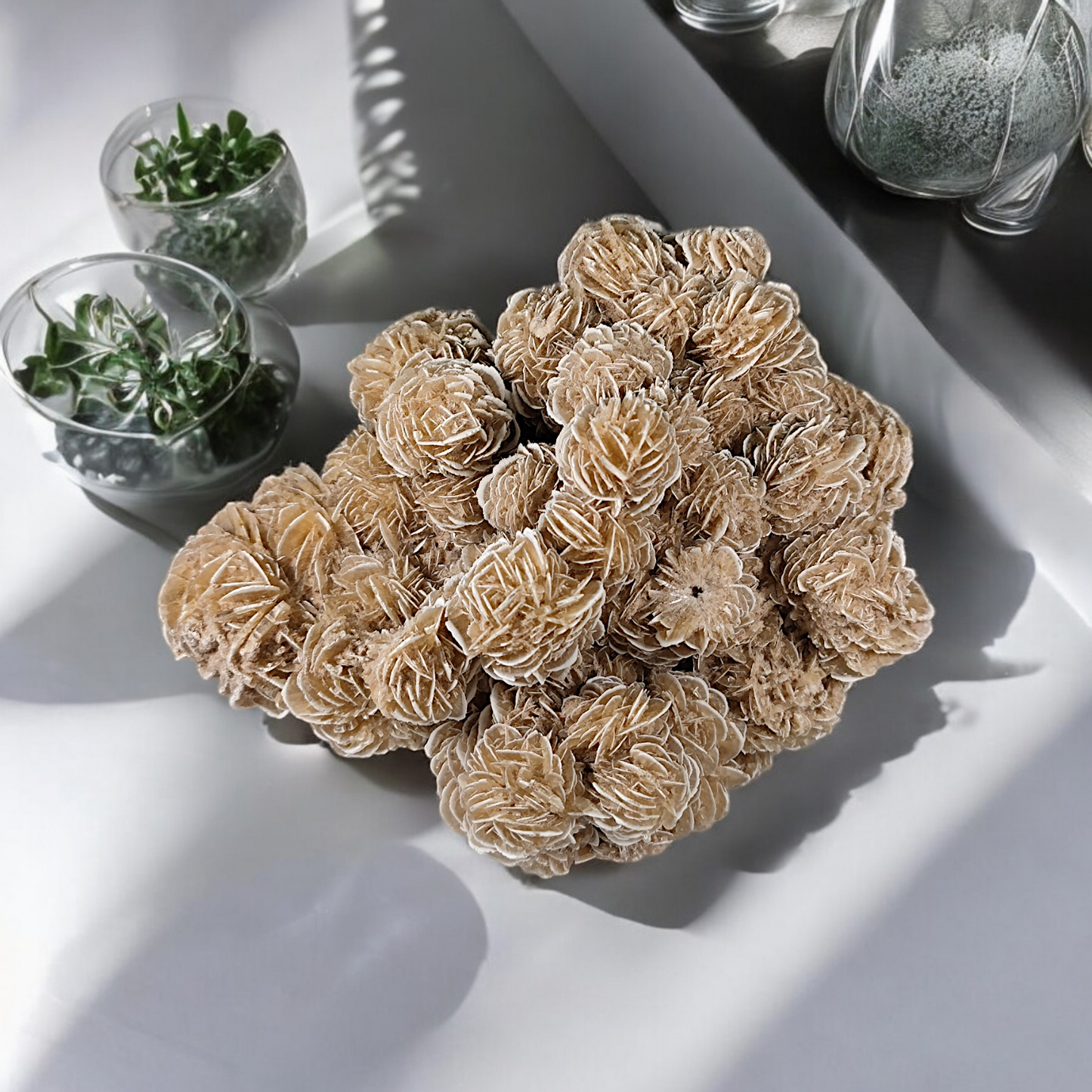 Sandrose Wüstenrose Mexico Einzelstück