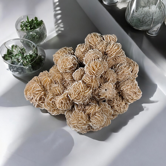 Sandrose Wüstenrose Mexico Einzelstück