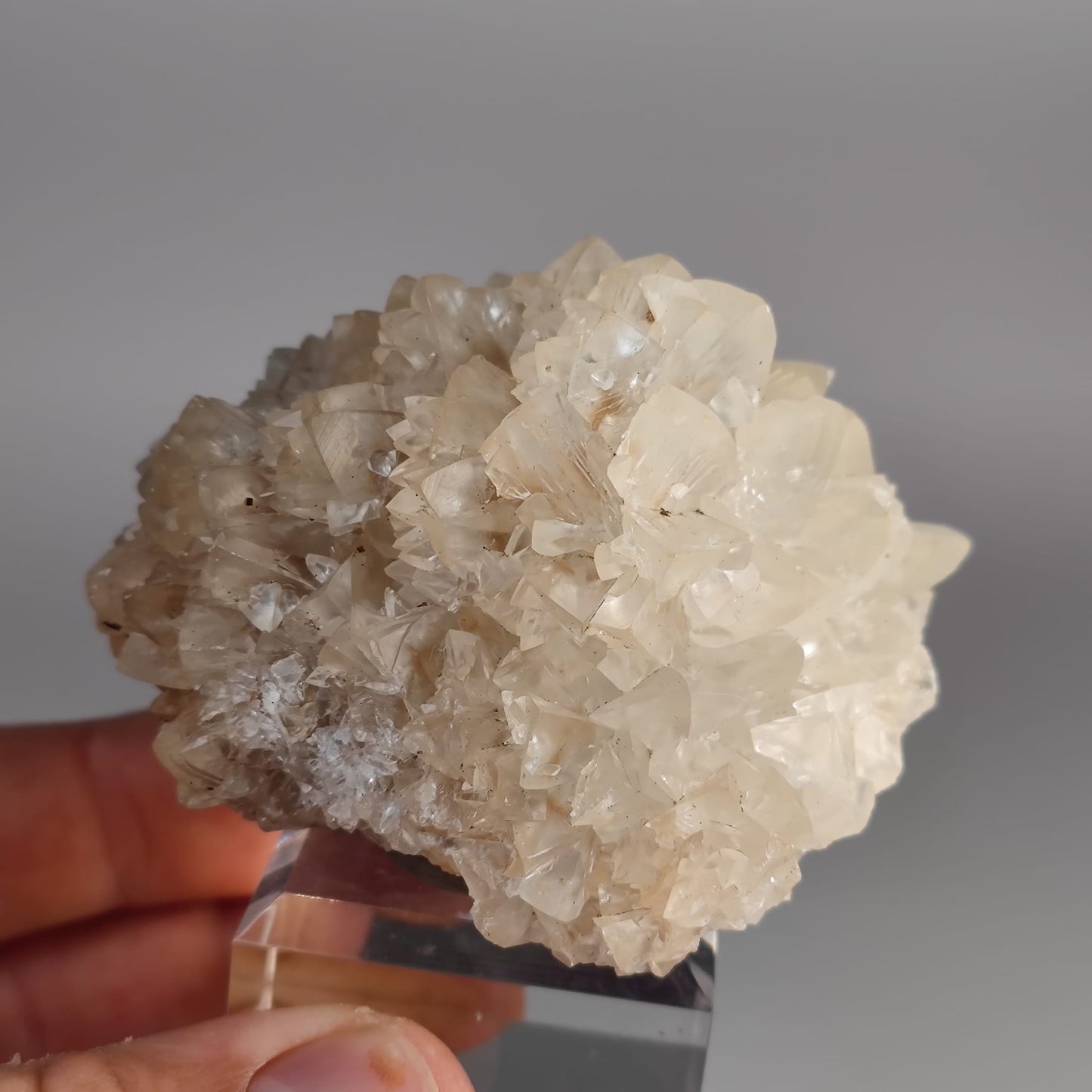 Mineralien aus dem Steinbruch Winterberg Bad Grund Harz