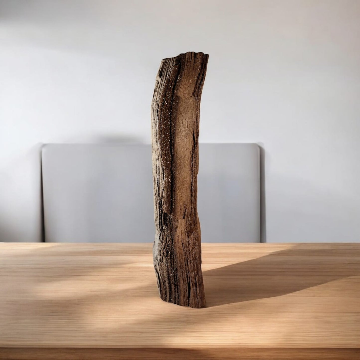 Verkieseltes Holz Feenholz