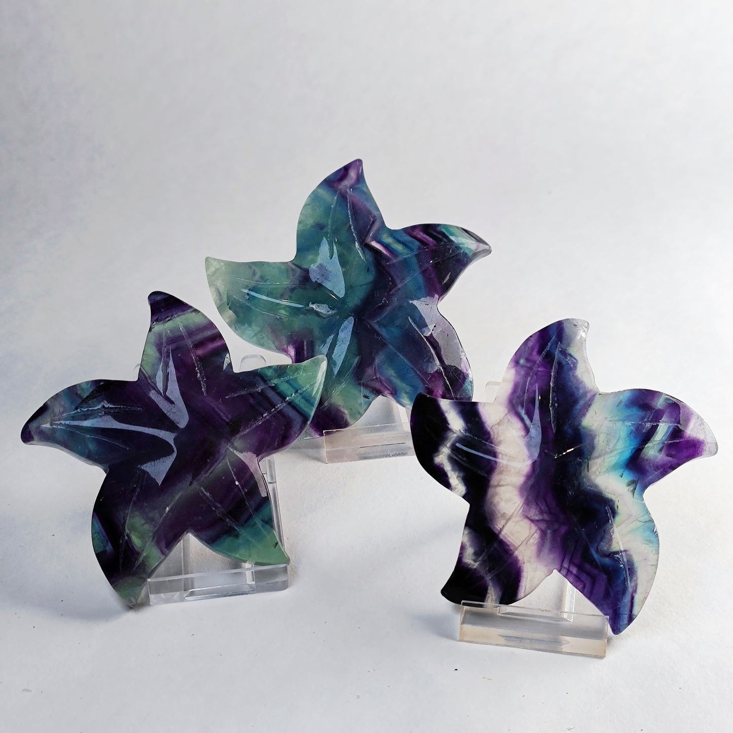 Regenbogen Fluorit Seesterne AA Qualität