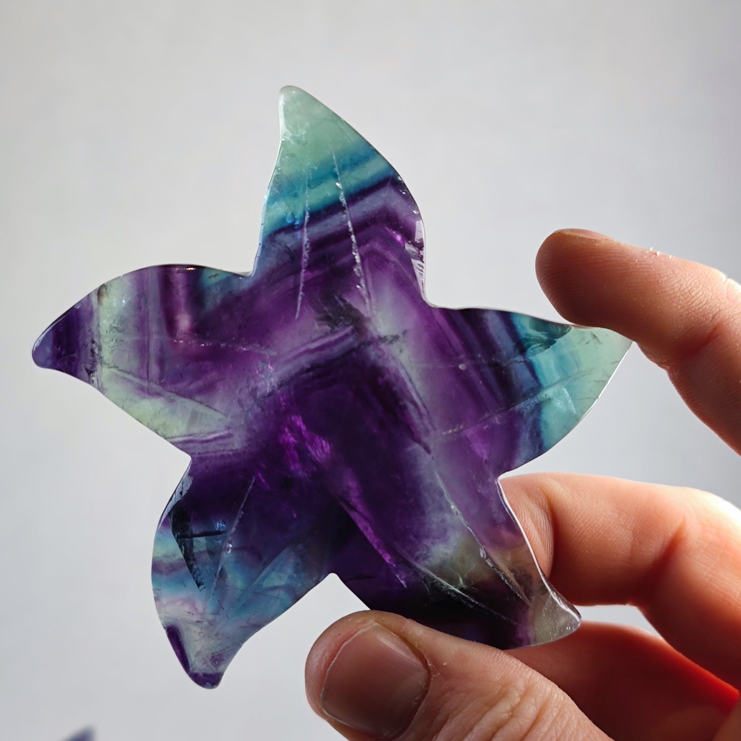 Regenbogen Fluorit Seesterne AA Qualität