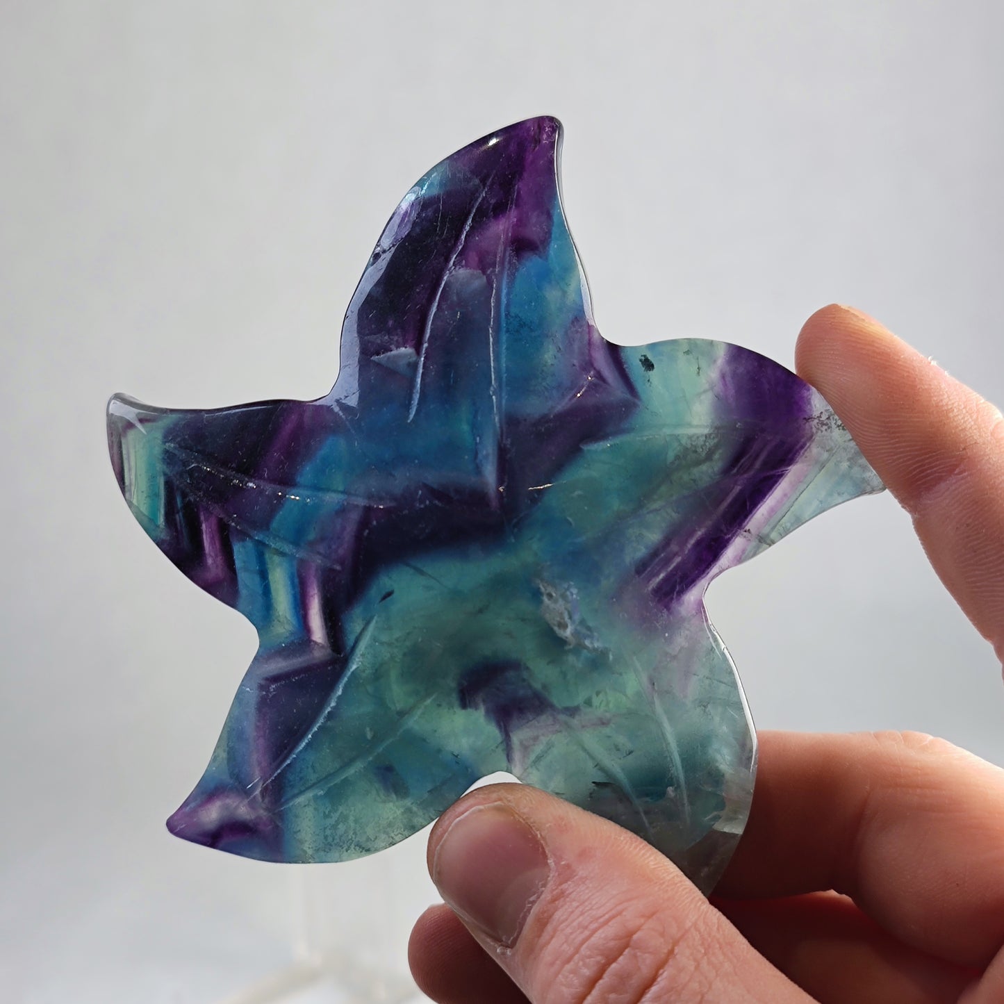 Regenbogen Fluorit Seesterne AA Qualität