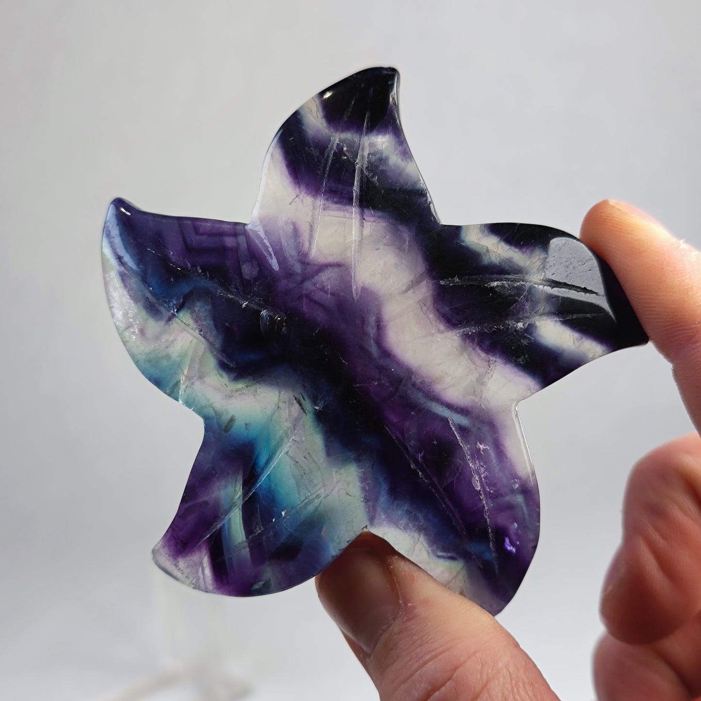 Regenbogen Fluorit Seesterne AA Qualität