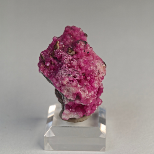 Kobaltcalcit Republik Kongo Afrika