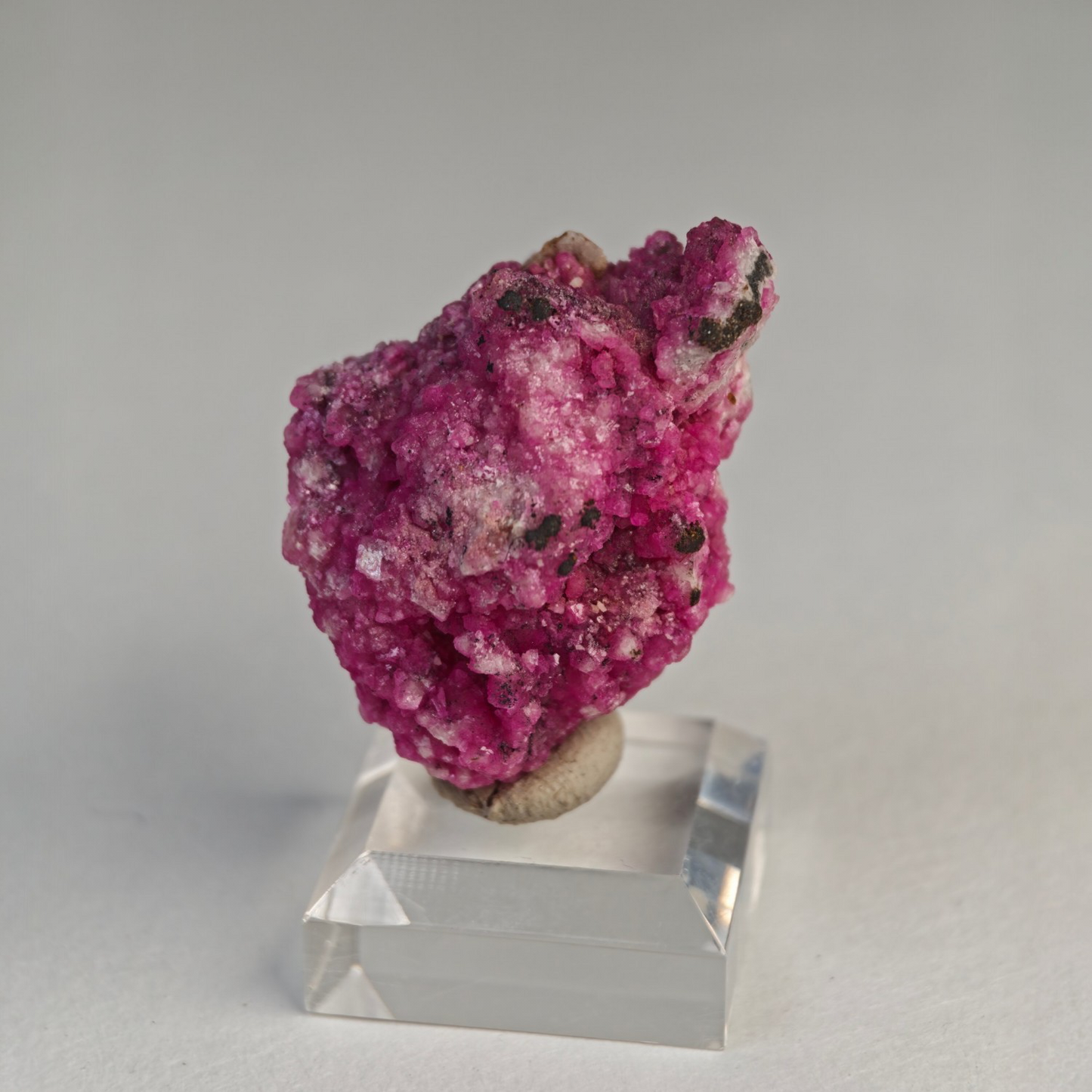 Kobaltcalcit Republik Kongo Afrika