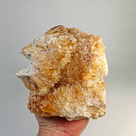 Honig Calcit Rüssingen Deutschland